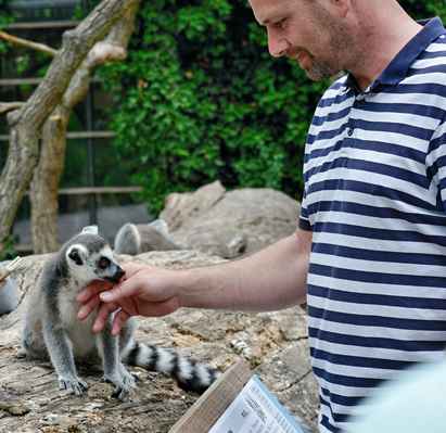 a nebo do ZOO nechat se voblíznout lemurem (zas to pruhovaný triko)