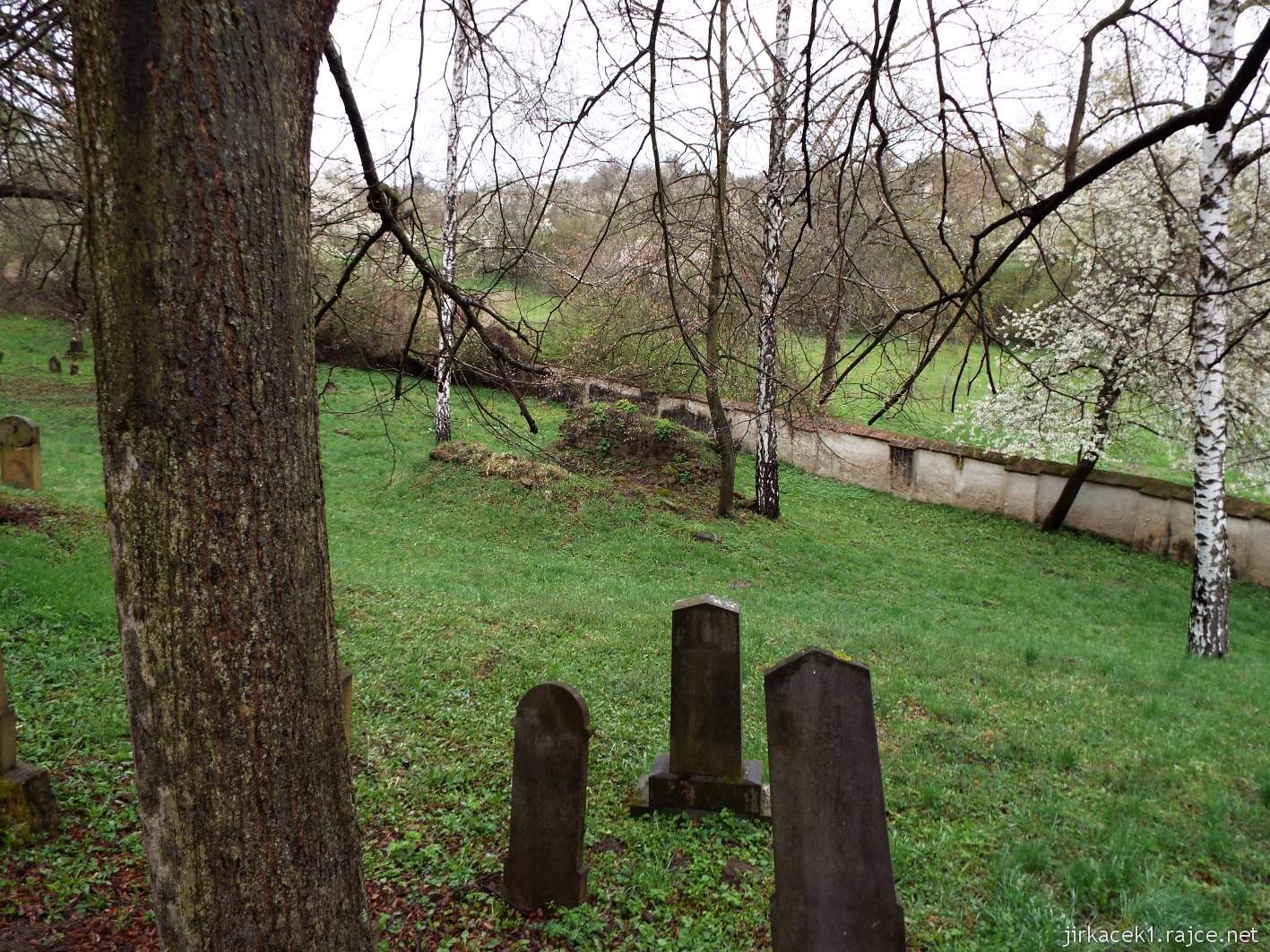Slavkov u Brna - židovský hřbitov - náhrobky