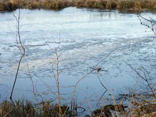Poslední vzpomínka na zimu - V tomto rybníčečku ještě zbytky ledu, ač jinde je už týdny voda volná